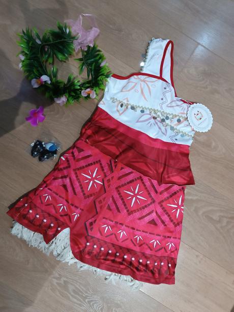 Viana karnevalový kostým,