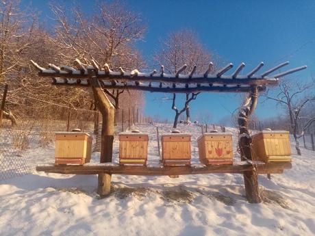 Eco voskoobrusok so vcelim voskom, vceli eko obal, 