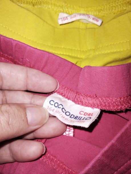 Leginy, coccodrillo,164