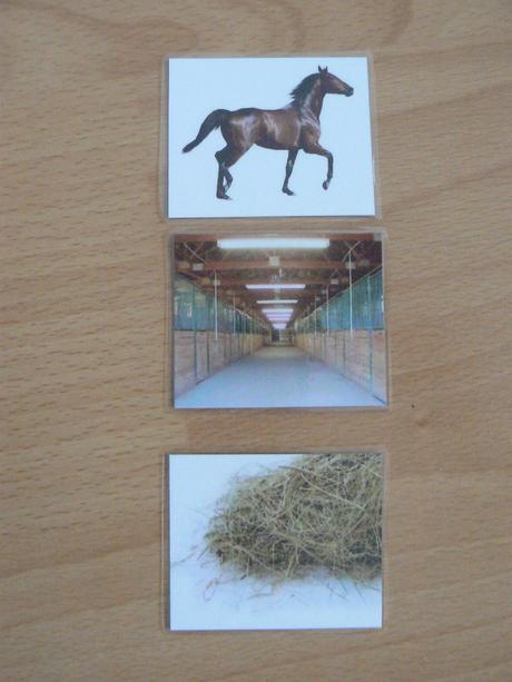 Priraďovačka zvieratko-domček-potrava, 