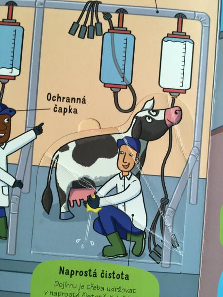 Kniha s odklápacími okienkami, 