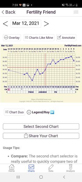 One step test na 11. deň po ovulácii