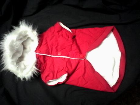 Oblečenie pre psika,