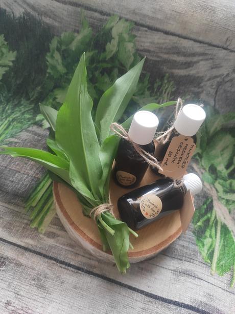 Tinktúra z medvedieho cesnaku, 