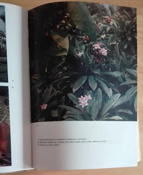 Rajský ostrov - bengt danielson,