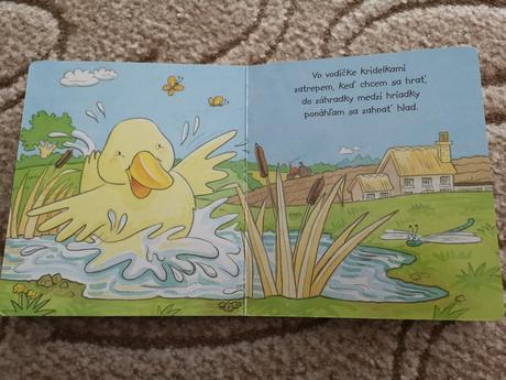 Knižka káčatko,