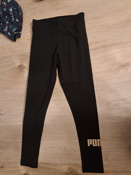 Leginy, v.140, puma,140