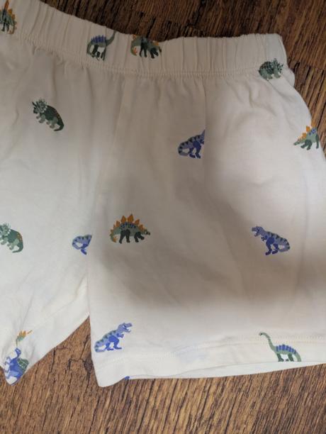 Kraťasy dinosaury, 98