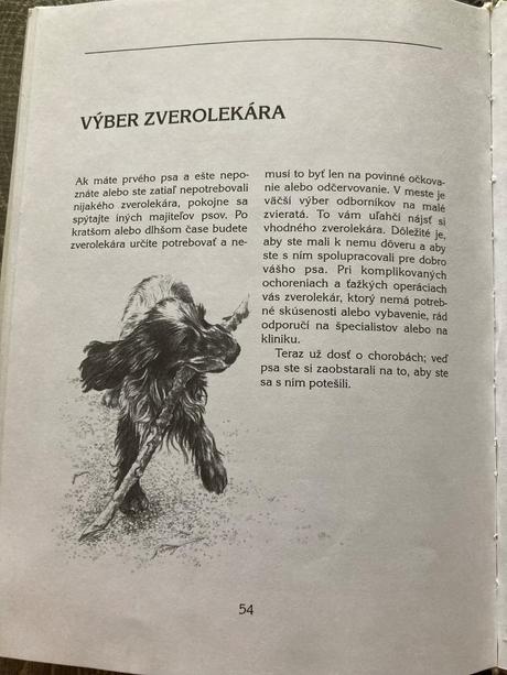 Náš pes je chorý (1999),