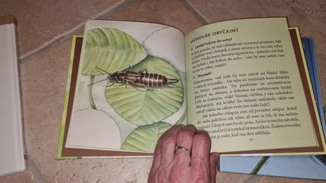 Od top po dobrý stav, 