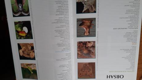 Encyklopédia zvierat, 