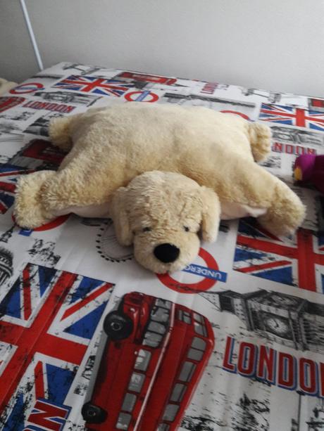 Plysak havo alebo vankus,