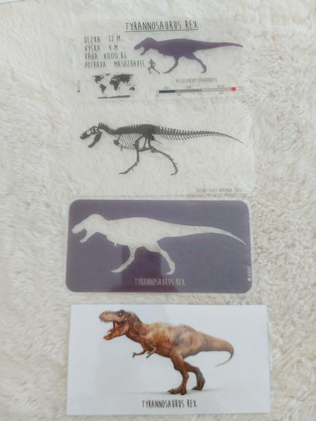 Montessori dinosaury, 