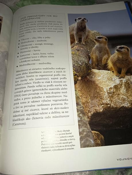 Predátory,
