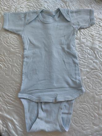 Pasikave body dlhe, 104