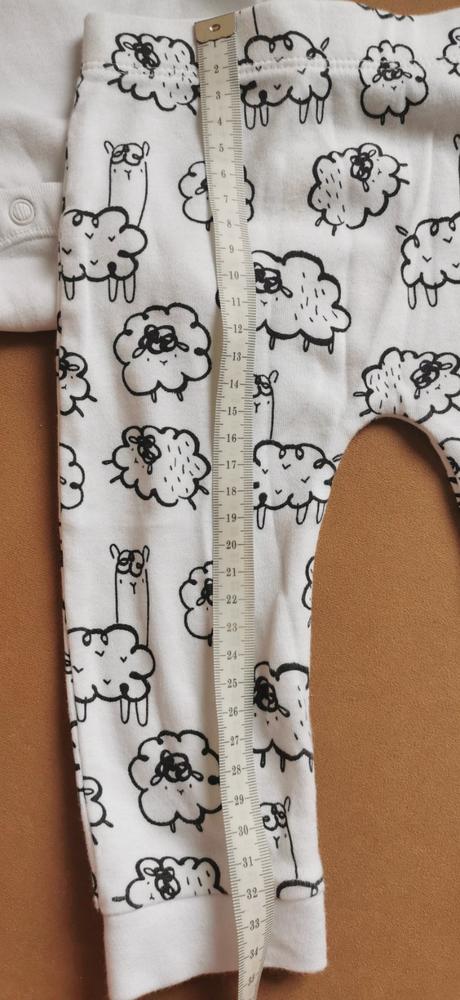 Body + nohavice 74, f&f,74