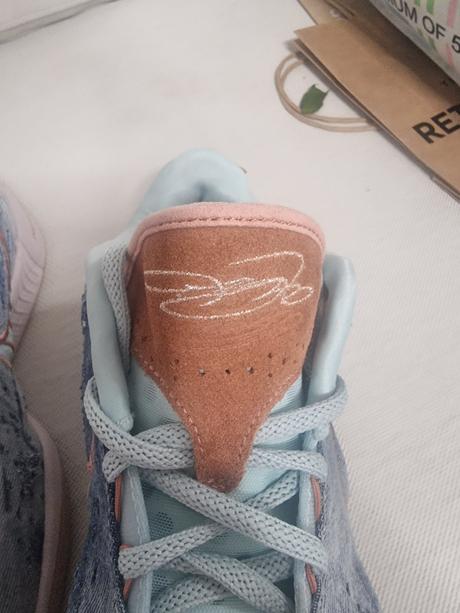 Nike lebron 21 aragonite, nike,42