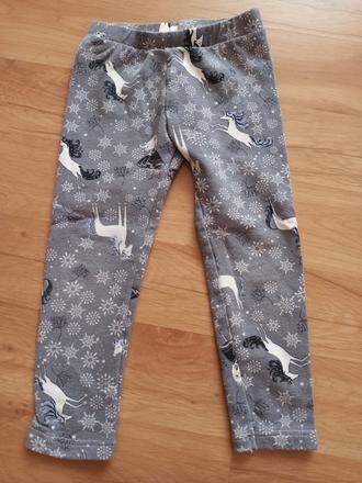 Legíny jednorožec, 104