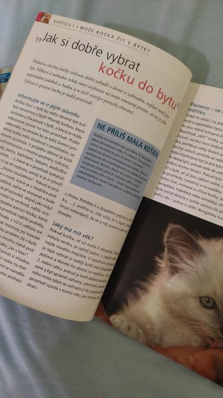 Kniha stastna kocka v byte, 
