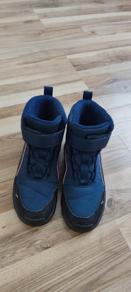 Snehule, puma,35