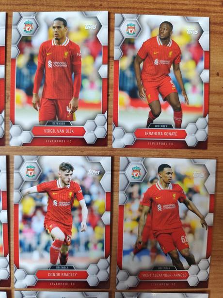 Futbalové kartičky - liverpool,