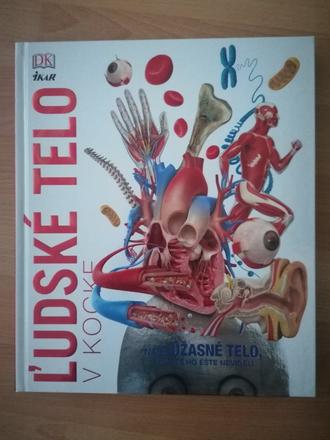 Ľudské telo v kocke,