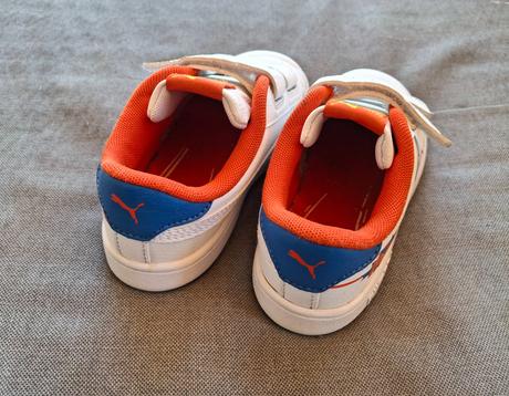 Botasky puma, puma,26