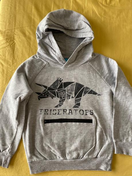 Detská mikina, pepco,116