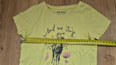 Tricko s konikom, 104