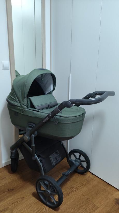 Kočík roan bloom green dots, roan,roan bloom