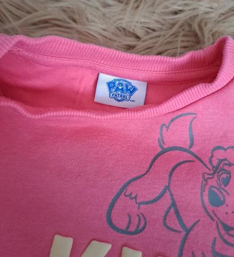 Mikinka paw patrol, 86