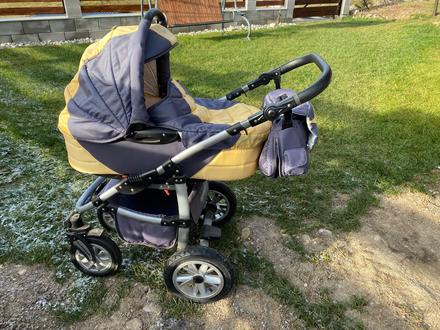 Kočík tako, tako,tako warrior