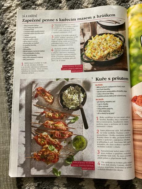 Časopis 21. století, pro vaše hobby, tina speciál, 