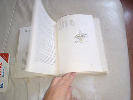 Dobsinsky slovenské rozpravky,