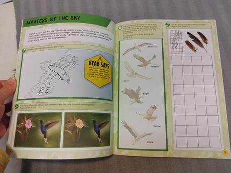 Gear grylls activity book amazing birds nau24, 