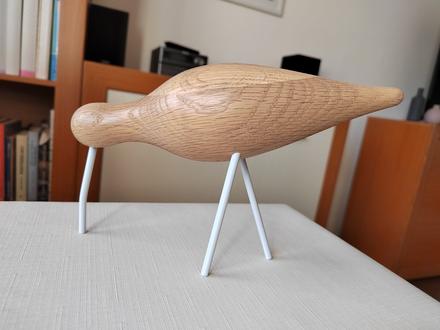 Vtáčik shorebird, veľký - normann copenhagen,