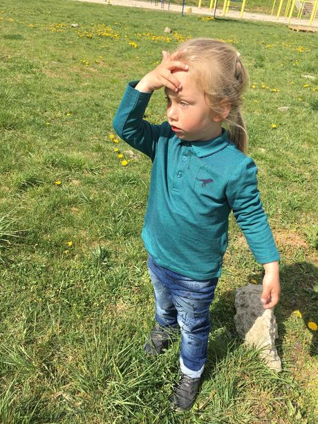 Pólo tričko s dinosaurom, 104