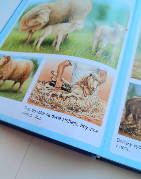 Nové obrázky zvierat, 