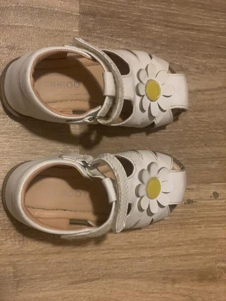 Sandalky freycoo, freycoo,24