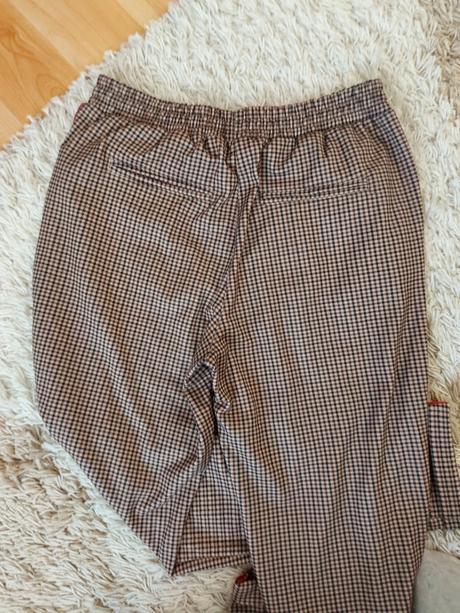 Nohavky calliope, calliope,l