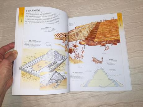 Animal kingdom ultimate visual guide nsu18,