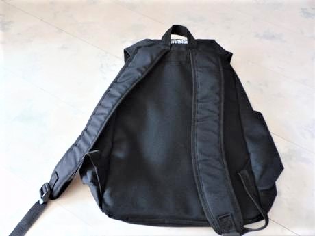 Priestranný rupsak, 