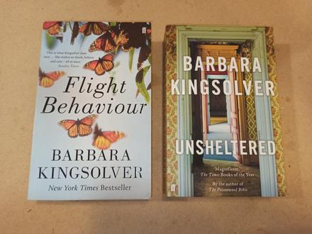 Barbara kingsolver v anglictine xs24, 