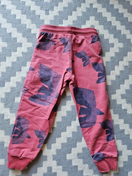 Tepláky, nohavice coccodrillo, coccodrillo,104