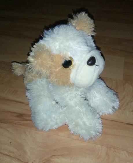 Šteniatko s trblietkami v očiach, 