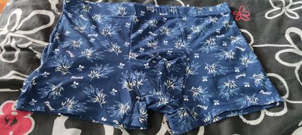 Boxerky pesail, l