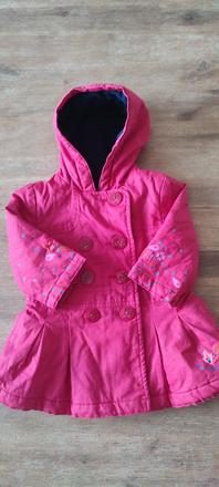 Catimini kabatik, 68