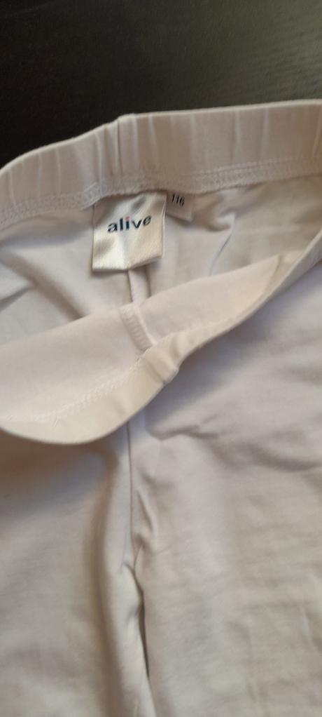 3/4 leginy, alive,116