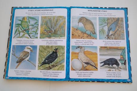 Obrázky rekordov zvierat, 