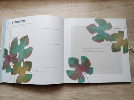 Kniha náš svadobný deň, 